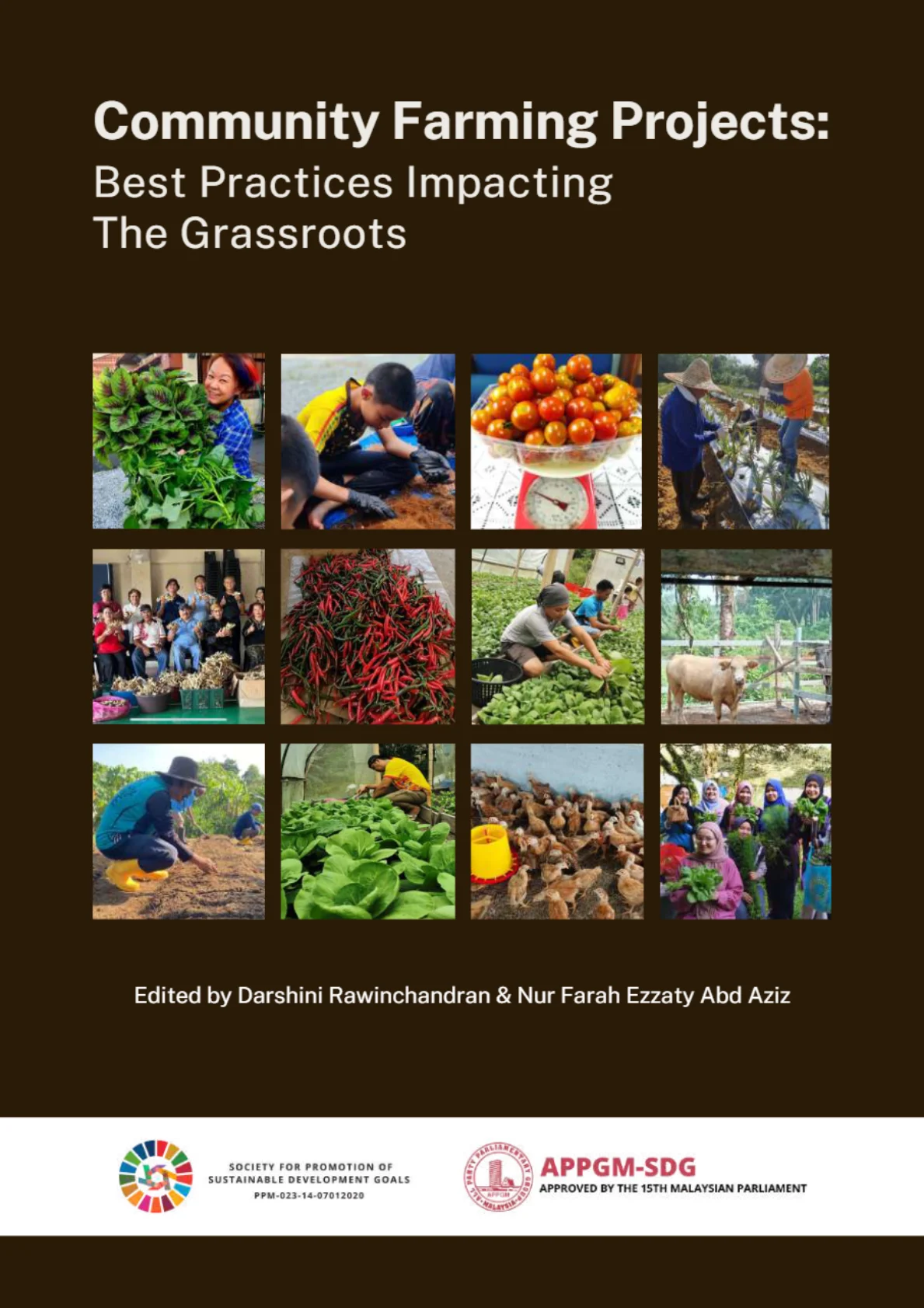 Cover - Community Farming Projects Best Practices Impacting The Grassroots