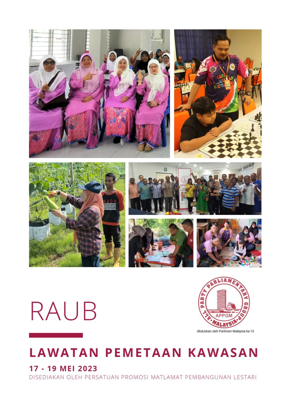 Cover - Raub 1